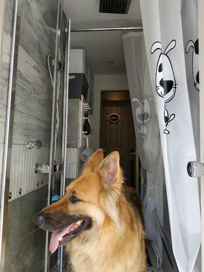 Dog Friendly Nancecliff Cottages Looe Exterior photo